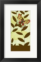 Butterfly Whimsey II Framed Print