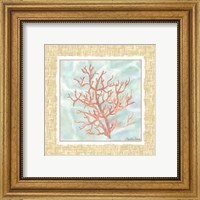 Framed Ocean Coral