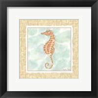 Ocean Seahorse Framed Print
