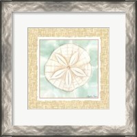 Framed Ocean Sanddollar