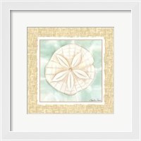 Framed Ocean Sanddollar