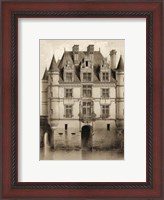 Framed Petite Sepia Chateaux V