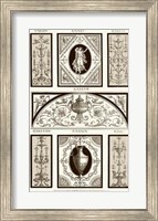 Framed Sepia Pergolesi Panel I
