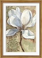 Framed Magnolia Majesty I