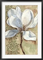 Magnolia Majesty I Framed Print