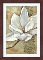 Framed Magnolia Majesty II