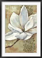 Framed Magnolia Majesty II