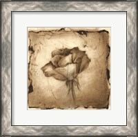 Framed Floral Impression VI