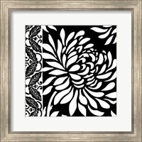 Framed Graphic Chrysanthemums II