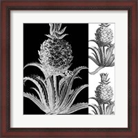 Framed Pop Pineapple II