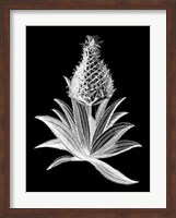 Framed Pineapple Noir I