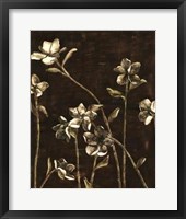 Blossom Nocturne I Framed Print