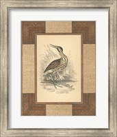 Framed Marshland Bittern