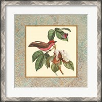 Framed Bel Air Songbirds I