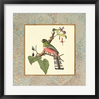 Bel Air Songbirds II Framed Print