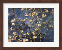 Framed Blossoming Almond Tree, Saint-Remy, c.1890