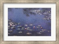 Framed Waterlillies