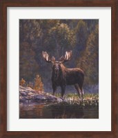 Framed North Country Moose detail