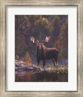 Framed North Country Moose detail