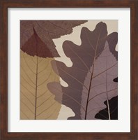 Framed 4 Leaves 1