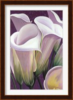 Framed Purple Lillies