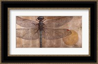 Framed Dragonfly On Silver