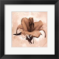 Framed X-Ray White Lily