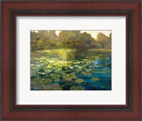 Framed Waterlilies