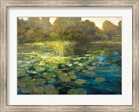 Framed Waterlilies