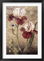 Framed Grand Irises
