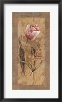 Framed Antique Tulip