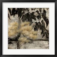 Nature's Breath II Framed Print