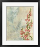 Spring Harvest II Framed Print