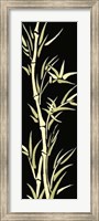 Framed Asian Bamboo Panel II