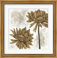 Framed White Washed Dahlias II