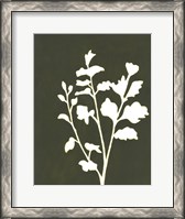 Framed Four Seasons Foliage II