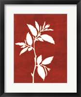 Four Seasons Foliage III Framed Print