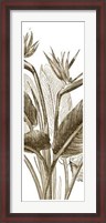 Framed Bird Of Paradise Triptych II