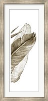 Framed Bird Of Paradise Triptych III