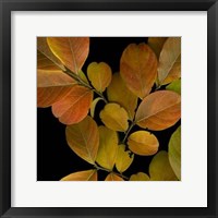 Framed Vivid Leaves I