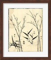 Framed Bamboo Woodblock II
