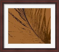 Framed Feathered Impression II