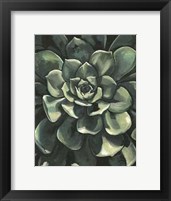 Framed Printed Lunar Succulent I