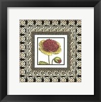 Framed Printed Floral Potpourri III