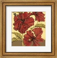 Framed Cropped Sophisticated Hibiscus I