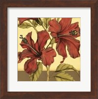Framed Cropped Sophisticated Hibiscus II