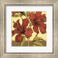 Framed Cropped Sophisticated Hibiscus II