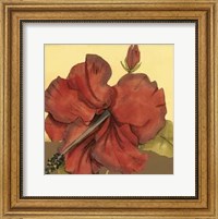 Framed Cropped Sophisticated Hibiscus III