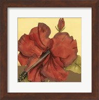 Framed Cropped Sophisticated Hibiscus III