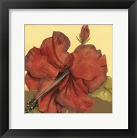 Framed Cropped Sophisticated Hibiscus III